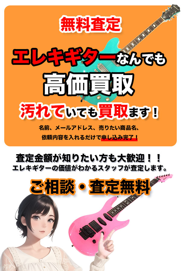 エレキギター買取専門店 TOPエレキギター