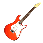 ESP